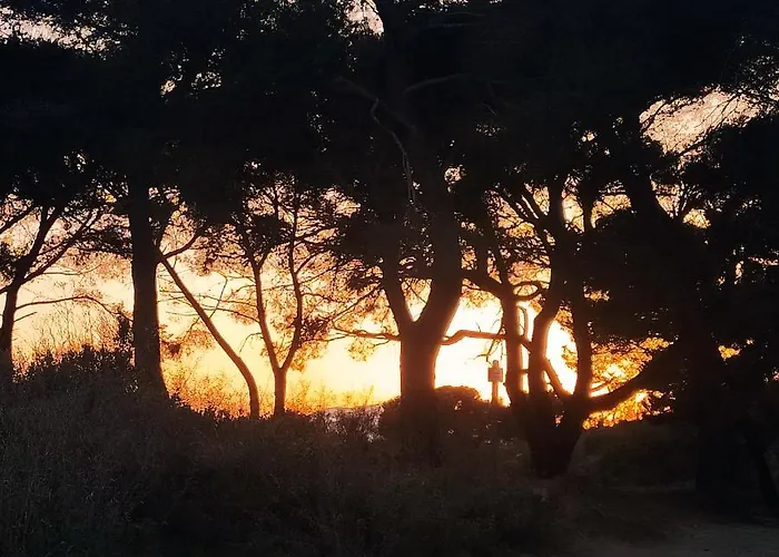 La Casa Rosa Lägenhet Lingueglietta